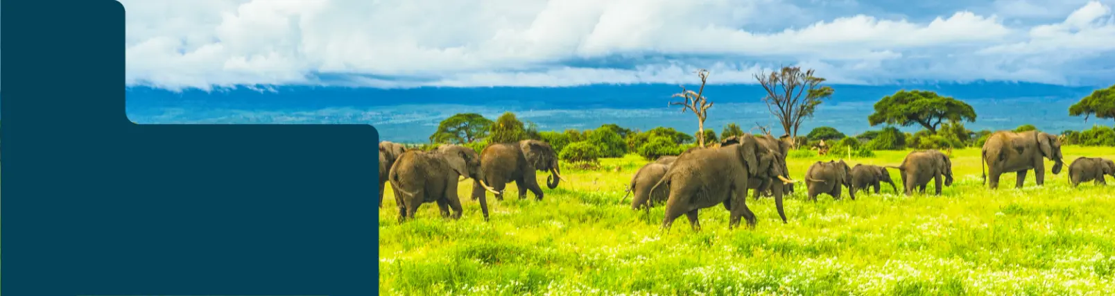 Reiseinspirationen & Reisebeispiele für Gruppen- und Agrarreisen in Afrika
