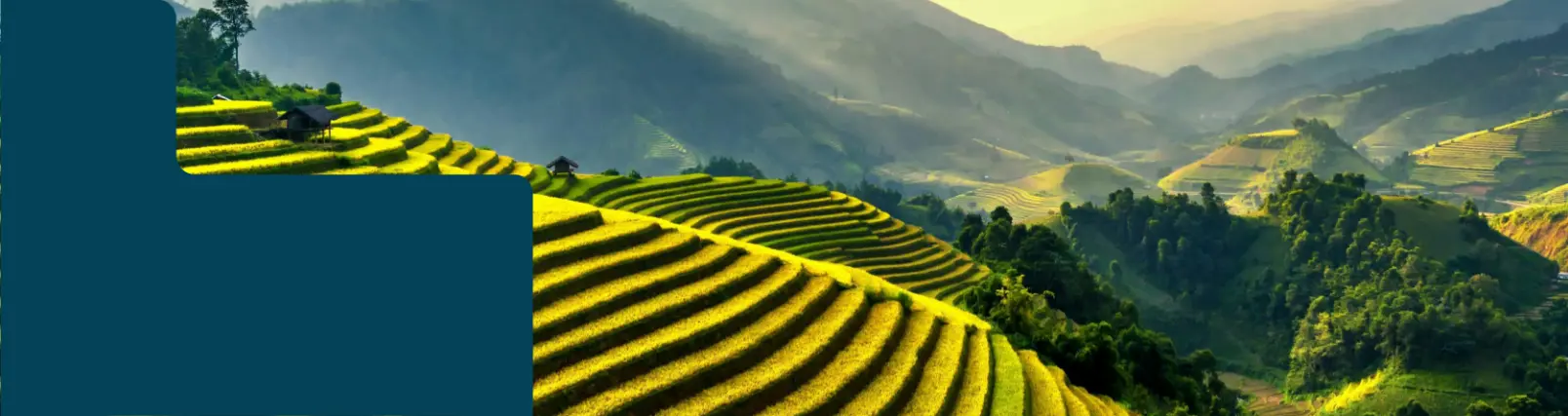 Reiseinspirationen & Reisebeispiele für Gruppen- und Agrarreisen in Asien