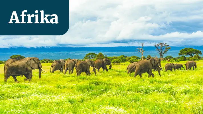 Reiseinspirationen & Reisebeispiele für Gruppen- und Agrarreisen in Afrika