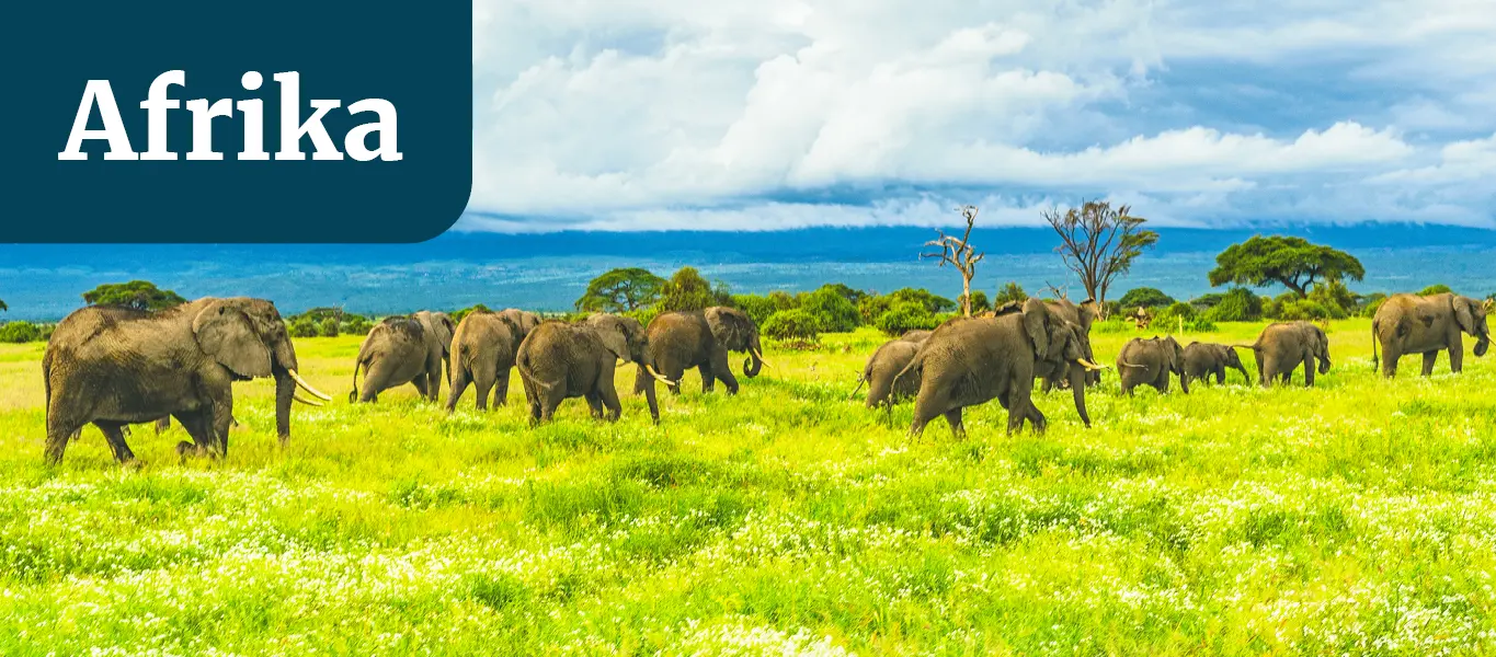 Reiseinspirationen & Reisebeispiele für Gruppen- und Agrarreisen in Afrika
