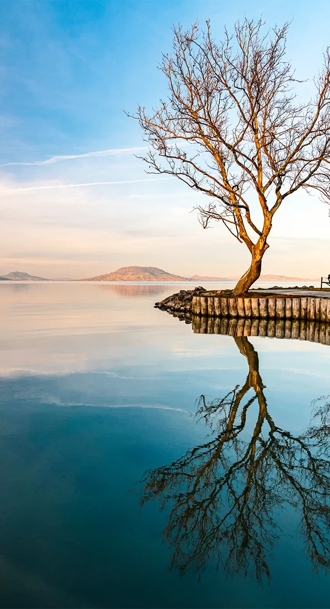 Ein kahler Baum am Ufer des ungarischen Plattensees im Winter, mit Blick über den See.