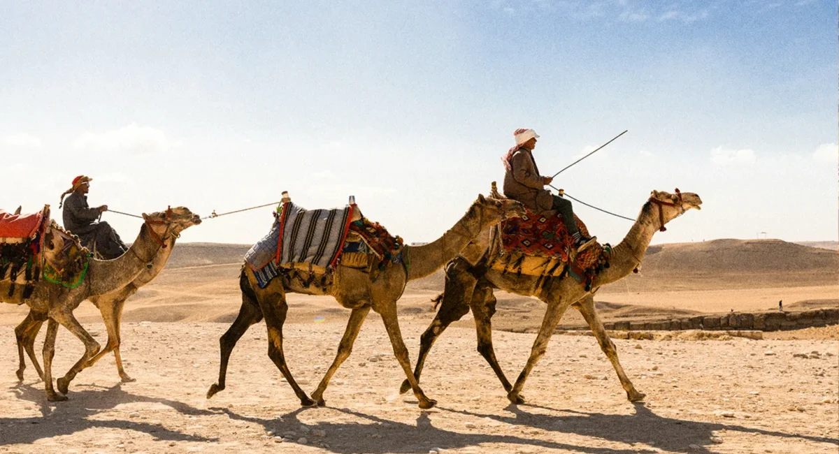 Zwei Kamelreiter wandern mit ihren Kamelen durch die Wüste der Vereinigten Arabischen Emirate.
