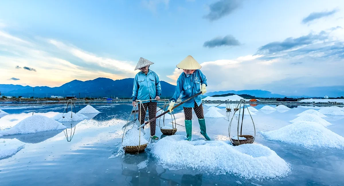 Zwei Arbeiterinnen in traditioneller vietnamesischer Kleidung gewinnen Salz, indem sie es aus dem Wasser schöpfen und in kleine Körbe füllen.