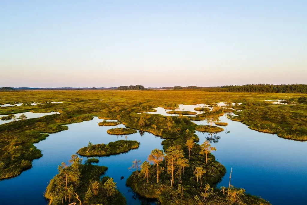 Eine Moorlandschaft in Estland bei Sonnenuntergang