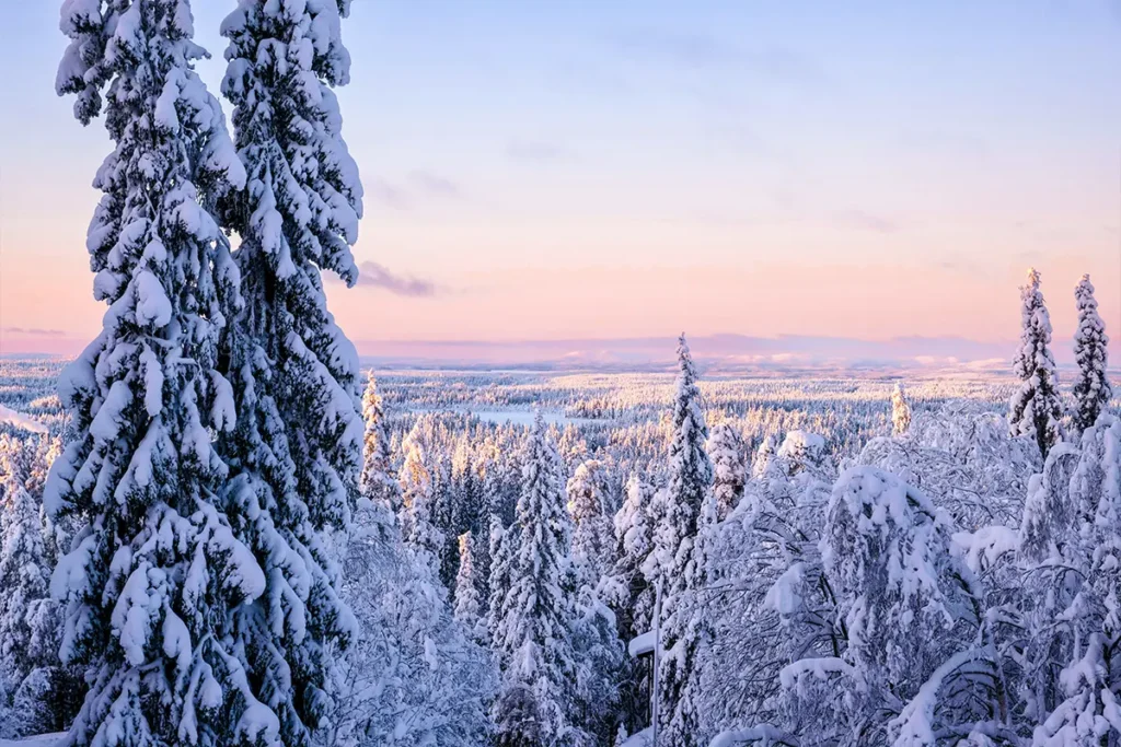 Blick bei Sonnenaufgang über die Baumwipfel eines Waldes im Winter in Finnland