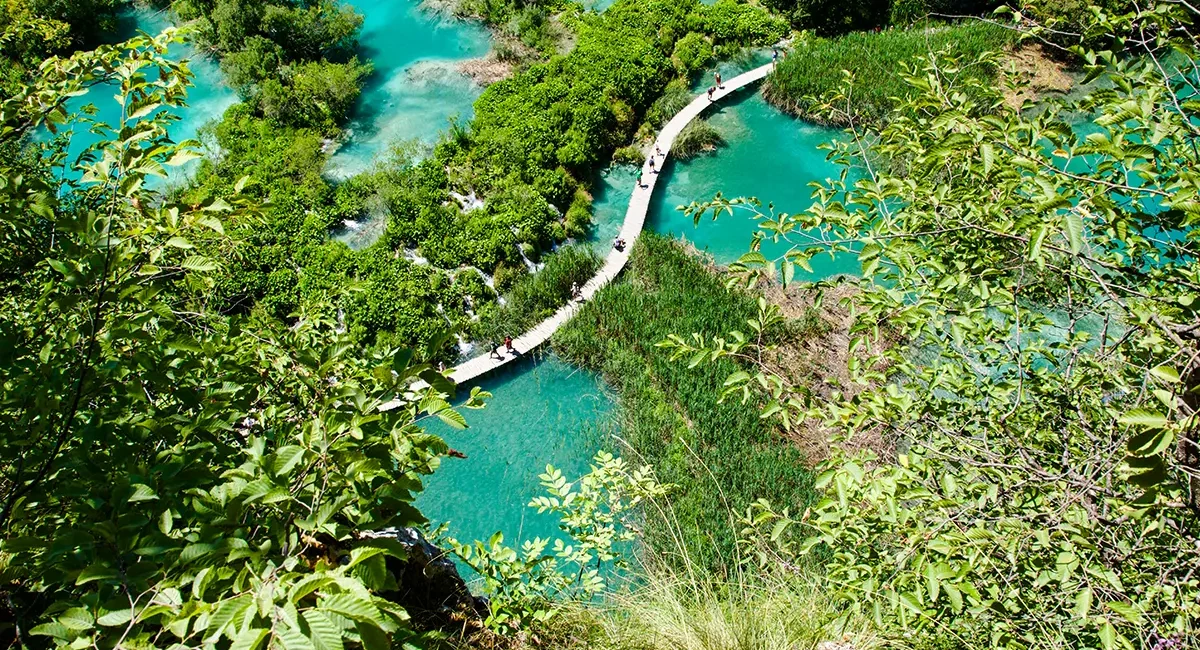 Ein erhöhter Blick auf einen Holzsteg, der über die kristallklaren, türkisfarbenen Gewässer des Nationalparks Plitvicer Seen in Kroatien führt.