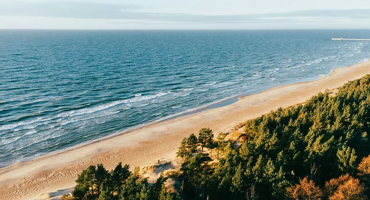 Ein weiter Sandstrand der Kurischen Nehrung in Litauen mit türkisfarbenen Wellen, der von einem dichten, grünen Kiefernwald umgeben ist.