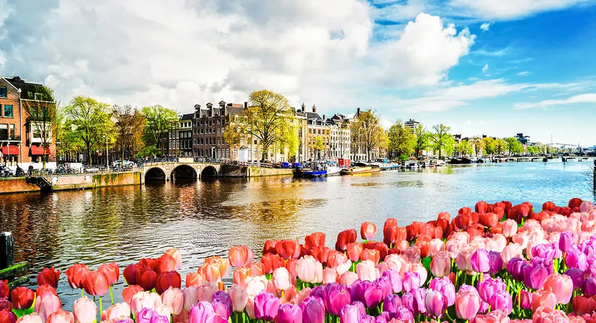 Der Kanal in Amsterdam mit blühenden Tulpen im Vordergrund.