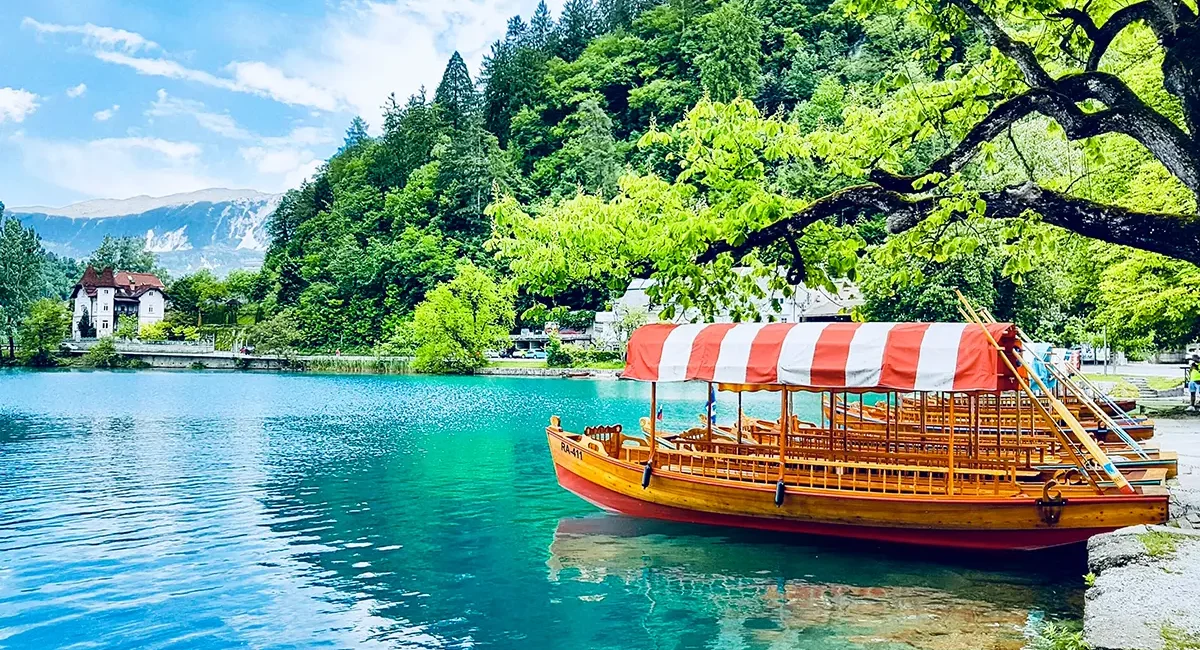 Traditionelle Pletna-Boote mit rot-weiß gestreiften Verdecken, die am Ufer des für sein türkisfarbenes Wasser berühmten Bleder Sees in Slowenien liegen.