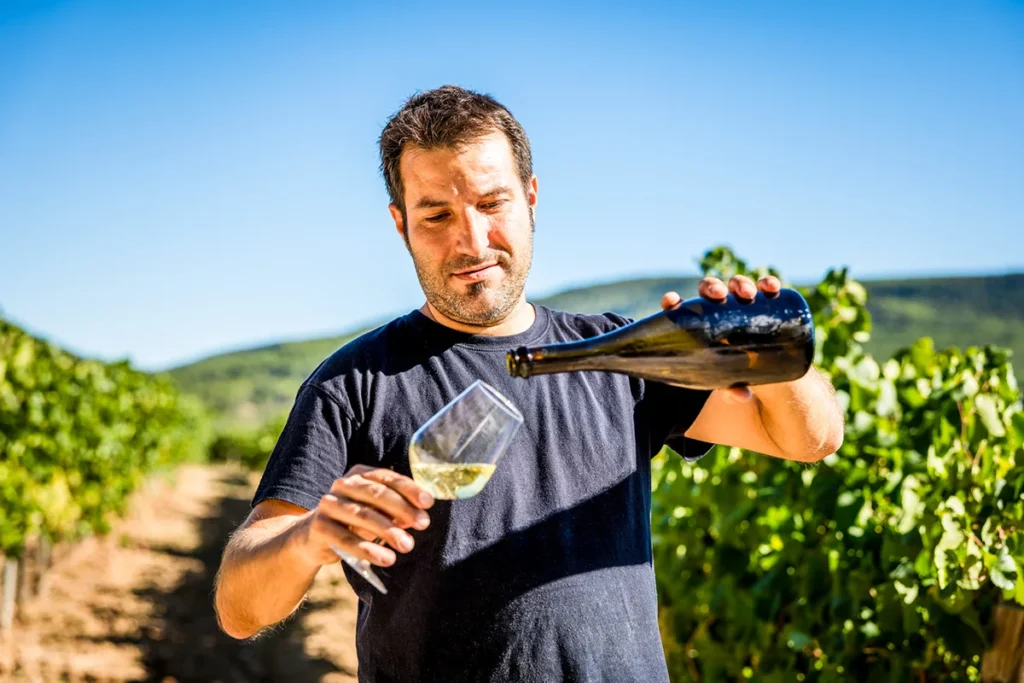 Ein belgischer Winzer steht in den Weinbergen und schenkt ein Glas Wein ein.
