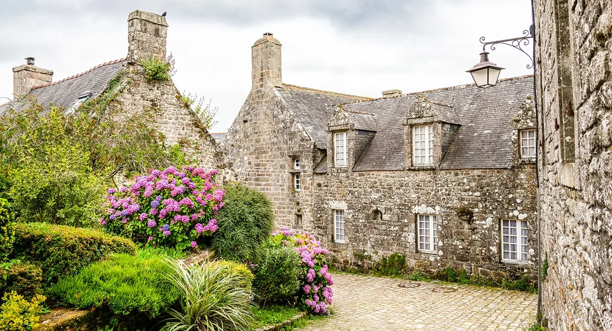 Eine Gasse mit historischen Granitsteinhäusern und blühenden rosa Hortensien im mittelalterlichen Dorf Locronan in der Bretagne, Frankreich.