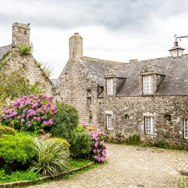 Eine Gasse mit historischen Granitsteinhäusern und blühenden rosa Hortensien im mittelalterlichen Dorf Locronan in der Bretagne, Frankreich.