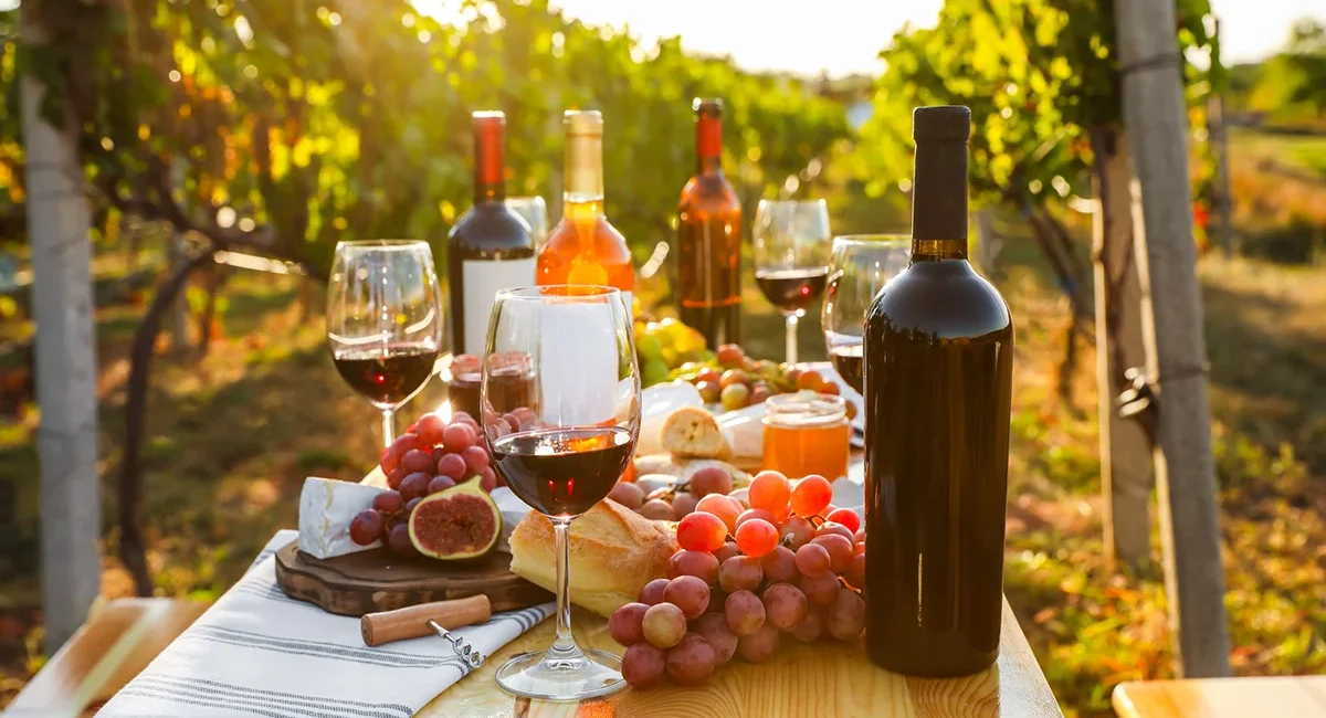 Ein reich gedeckter Tisch zwischen den Weinbergen des französischen Burgunds mit Wein, Käse, Trauben und frischem Brot.