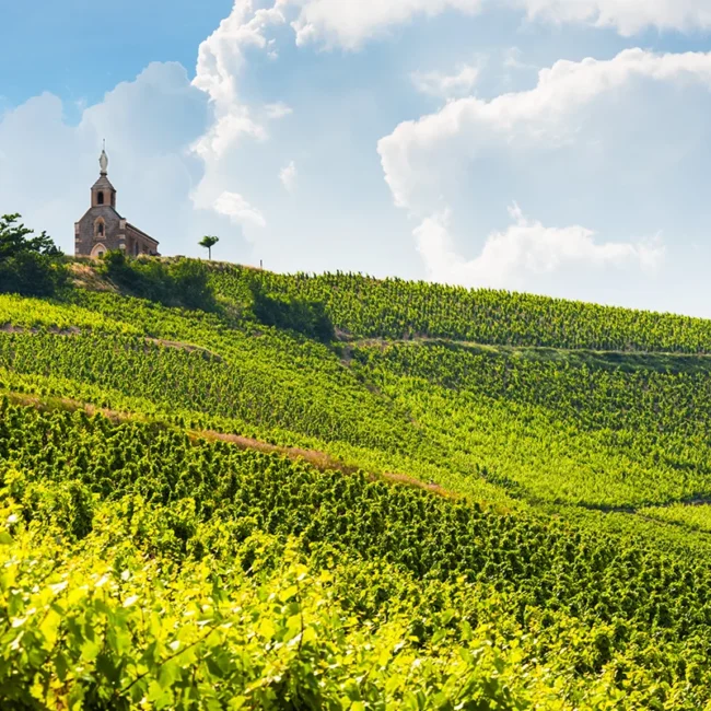 Ein Hügel mit Weinbergen und einer kleinen Kirche im Burgund.