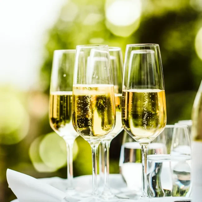 Prickelnde Gläser mit Champagner stehen auf einem Tisch in der französischen Champagne.