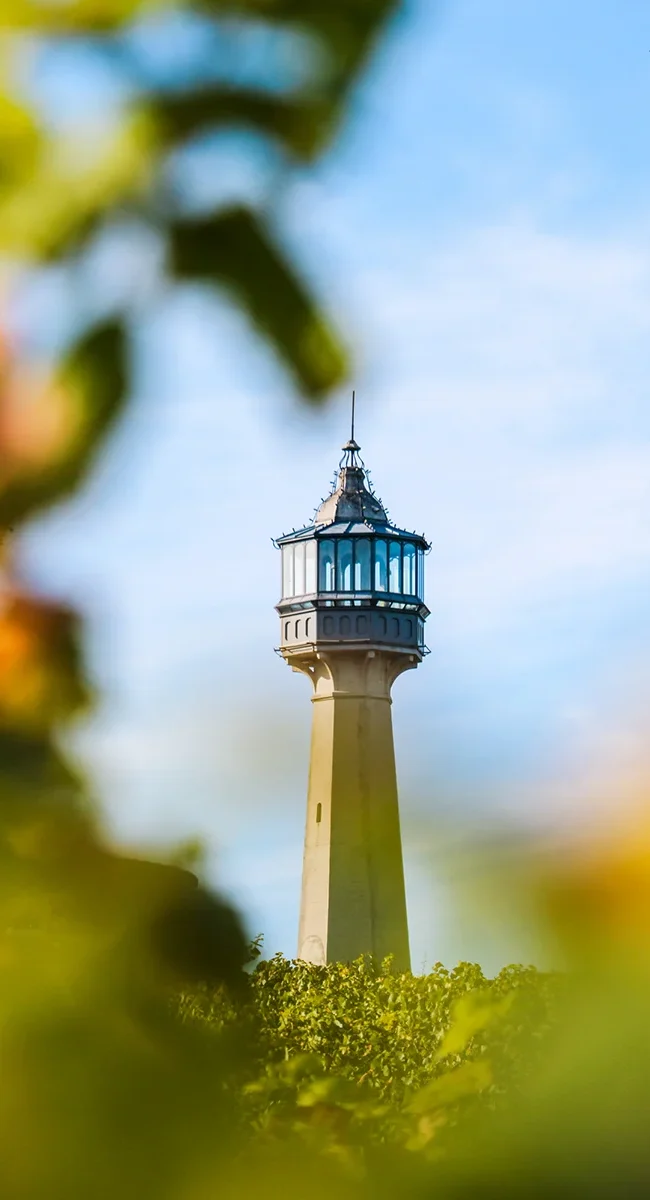 Der Leuchtturm von Verzenay, ein markantes Wahrzeichen inmitten der Weinberge der Champagne in Frankreich.