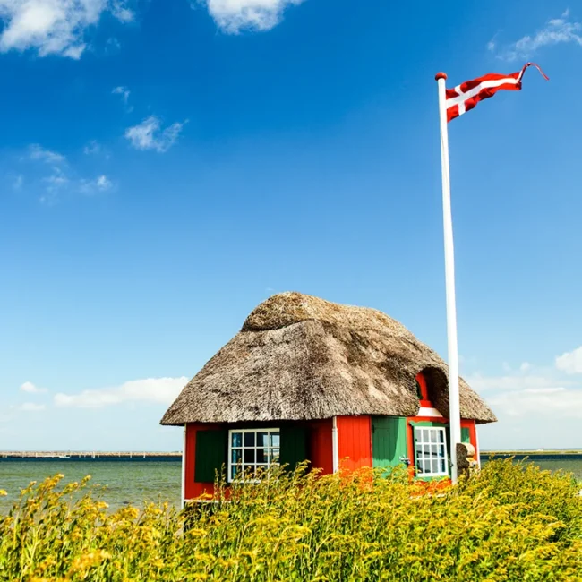 Ein rotes dänisches Reetdachhaus mit dänischer Fahne direkt am Meer.