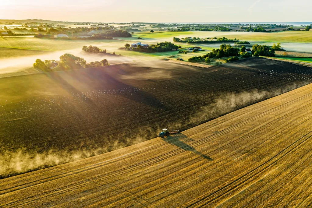 Weite Felder Dänemarks in harmonischen Grüntönen, während ein Traktor ruhig seine Bahnen über den Acker zieht.