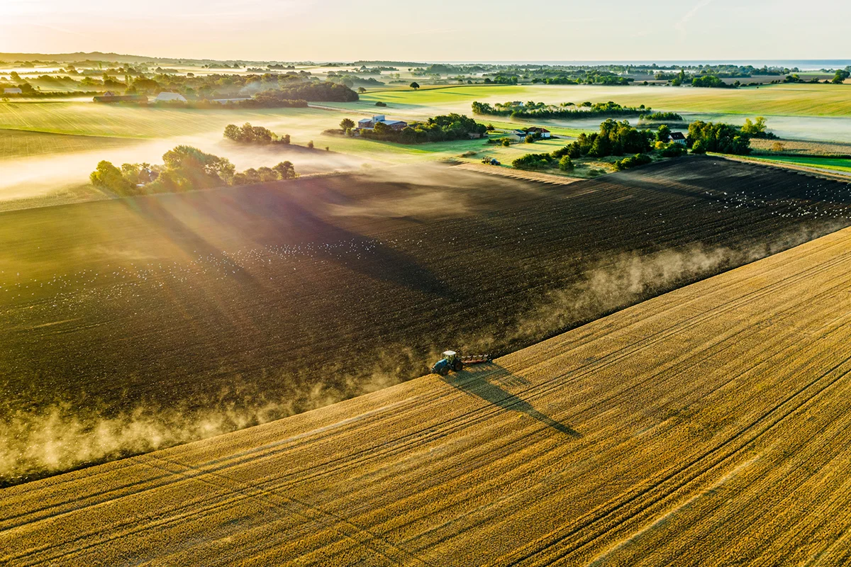 Weite Felder Dänemarks in harmonischen Grüntönen, während ein Traktor ruhig seine Bahnen über den Acker zieht.