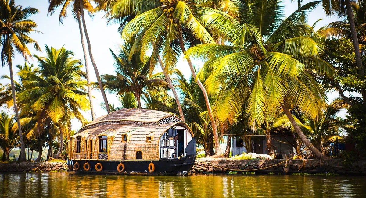 Ein motorisiertes Hausboot mit Palmen im Hintergrund, das typisch für die Backwaters im indischen Bundesstaat Kerala ist.