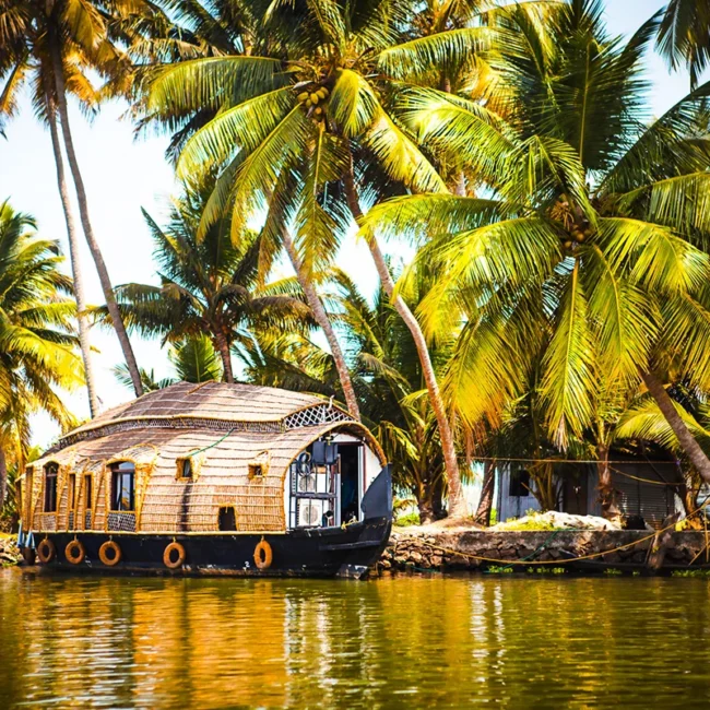 Ein motorisiertes Hausboot mit Palmen im Hintergrund, das typisch für die Backwaters im indischen Bundesstaat Kerala ist.