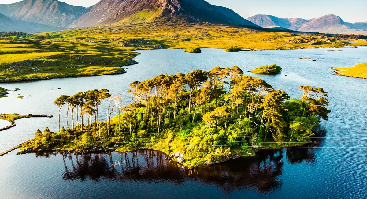 Die berühmte Pine Island im See Derryclare Lough, umgeben von der rauen Berglandschaft der Twelve Bens in der Region Connemara, Irland.