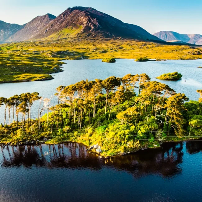 Die berühmte Pine Island im See Derryclare Lough, umgeben von der rauen Berglandschaft der Twelve Bens in der Region Connemara, Irland.