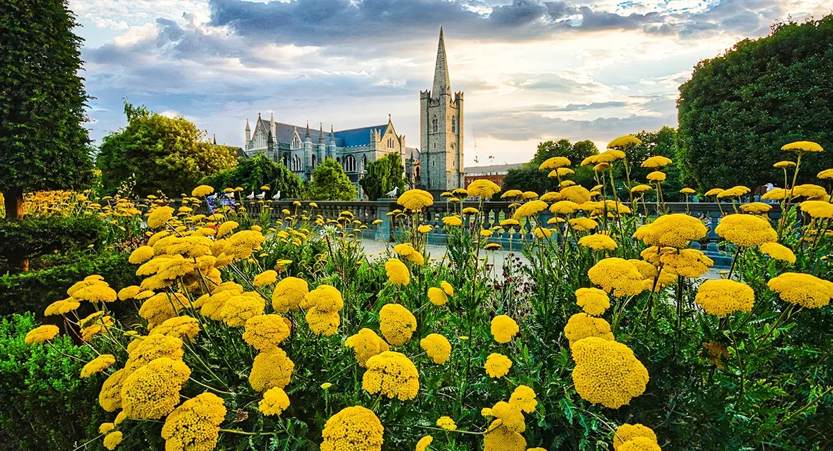 Der St. Patrick's Park mit gelben Blumen und der ikonischen St. Patrick's Cathedral im Hintergrund in Dublin, Irland.