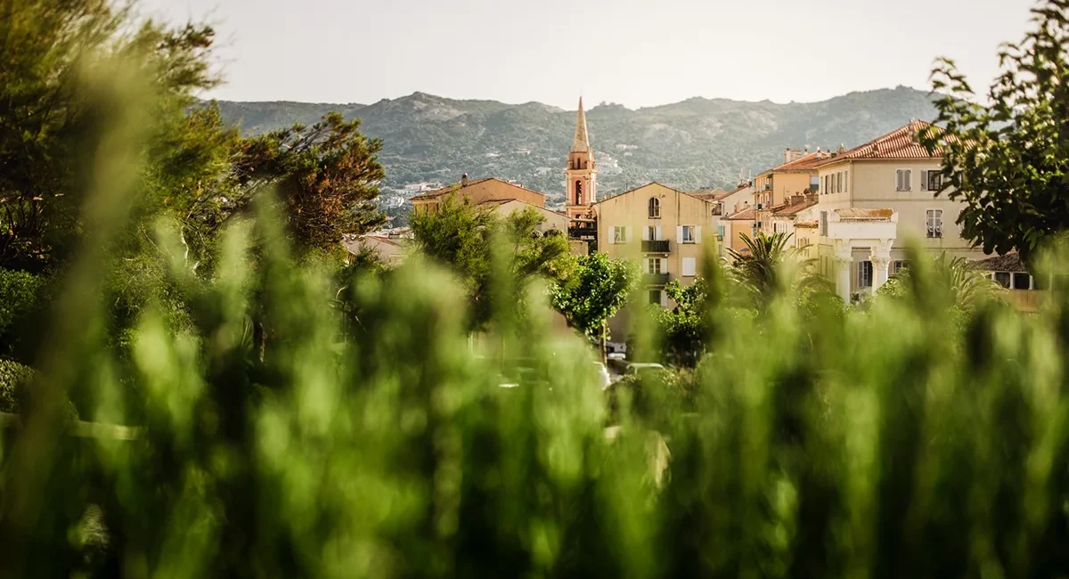 Die Hafenstadt Calvi auf den französischen Insel Korsika.