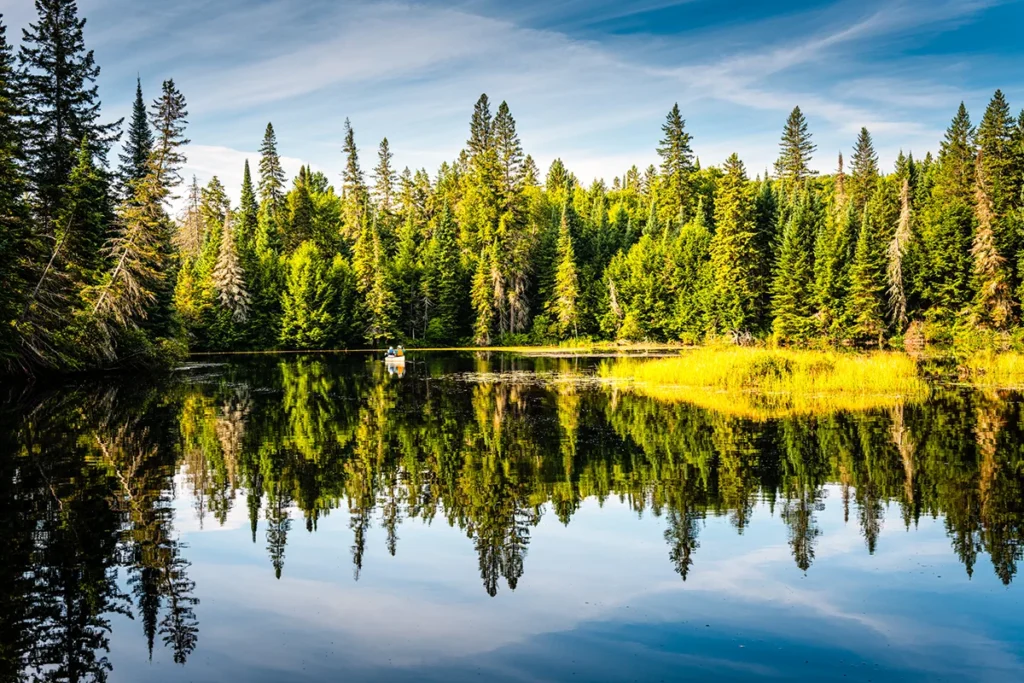 Ein kleiner See im Algonquin Nationalpark in Ostkanada mit einem kleinen Boot und dichtem Nadelwald.