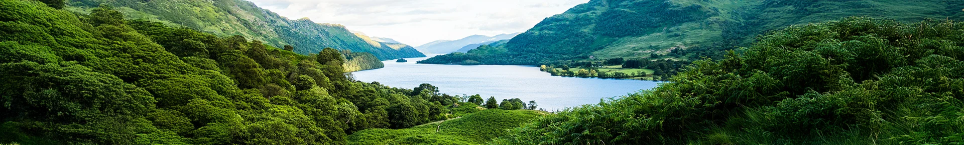Der Loch Lomond See in Schottland, welcher von bewaldeten Hügeln umgeben ist.