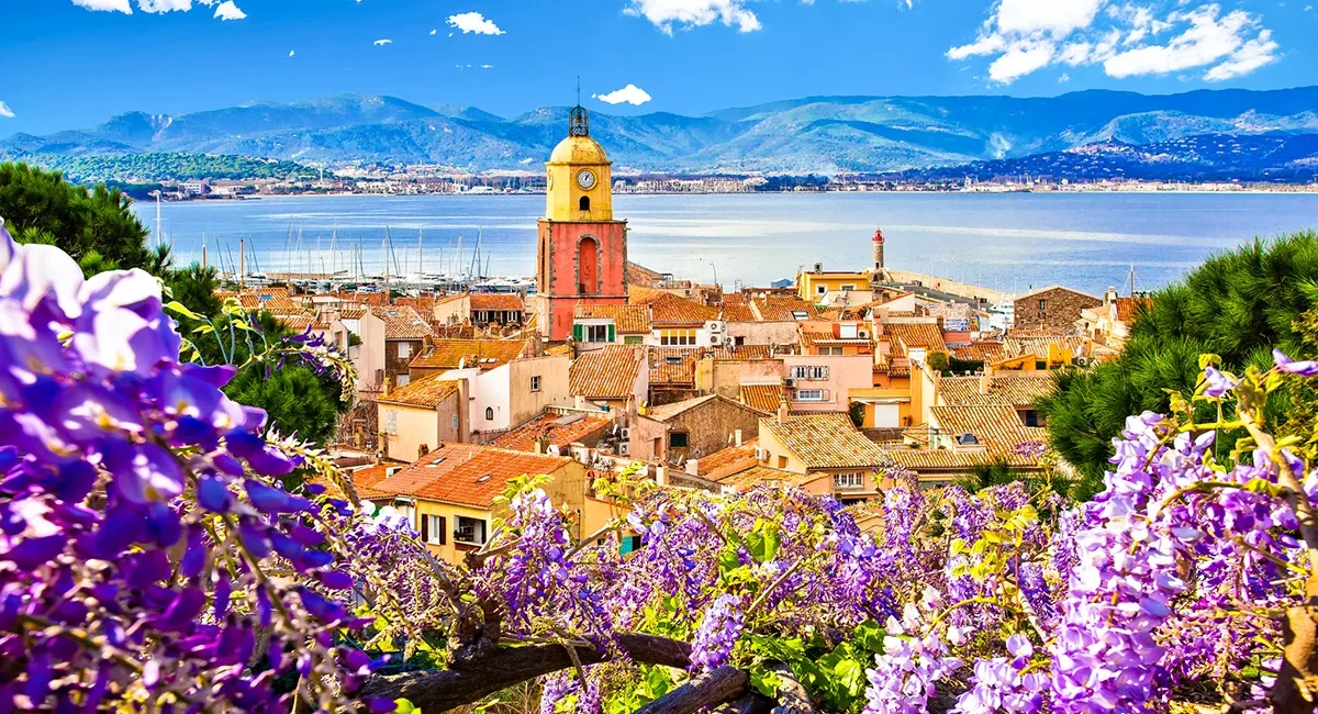 Die Altstadt von Saint-Tropez mit seinem markanten ockergelben Kirchturm, eingerahmt von blühendem violettem Blauregen vor der Kulisse des Meeres.