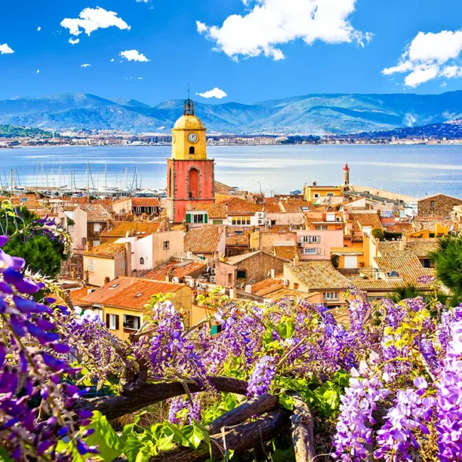 Die Altstadt von Saint-Tropez mit seinem markanten ockergelben Kirchturm, eingerahmt von blühendem violettem Blauregen vor der Kulisse des Meeres.