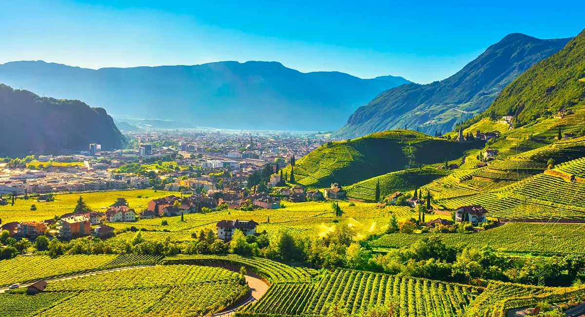 Berglandschaft und Weinberge an einem Sommertag in Süditirol.