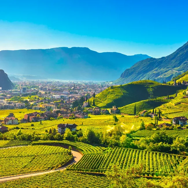 Berglandschaft und Weinberge an einem Sommertag in Süditirol.