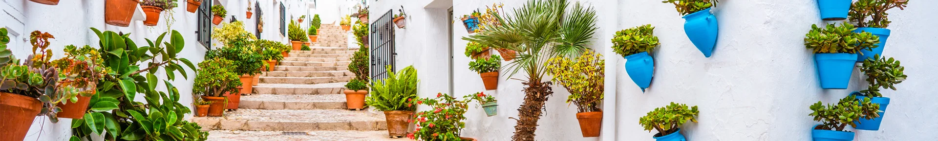 Eine enge Gasse in Málaga mit vielen Blumentöpfen, die an den Wänden der Häuser hängen.