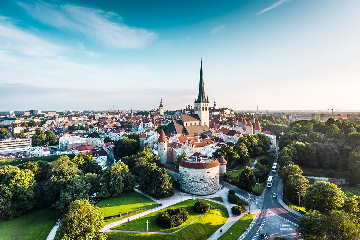 Blick über die Altstadt von Tallinn mit roten Dächern und Kirchtürmen in Estland