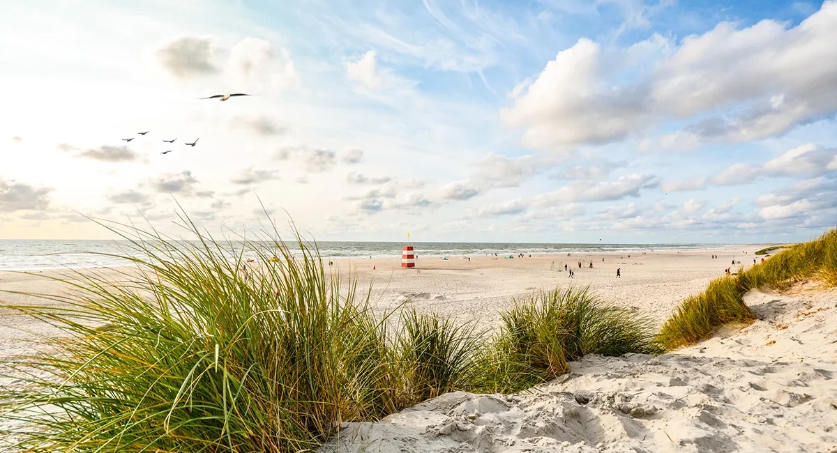 Ein weiter Sandstrand an der Küste von Jütland in Dänemark. Dünen und das Meer der Nordsee prägen die offene Küstenlandschaft unter einem weiten Himmel.