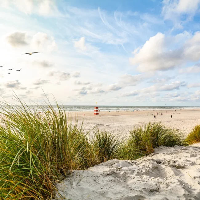 Ein weiter Sandstrand an der Küste von Jütland in Dänemark. Dünen und das Meer der Nordsee prägen die offene Küstenlandschaft unter einem weiten Himmel.