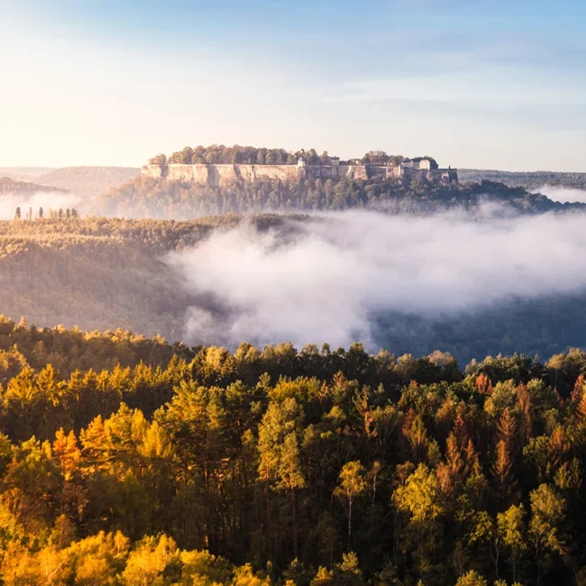 Die über einem morgendlichen Nebelmeer thronende Festung Königstein inmitten der herbstlichen Waldlandschaft des Elbsandsteingebirges.