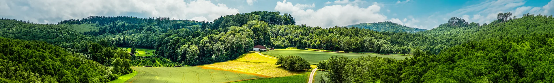 Eine grüne Hügellandschaft mit dichtem Wald und saftigen Feldern in Hohenlohe-Franken.