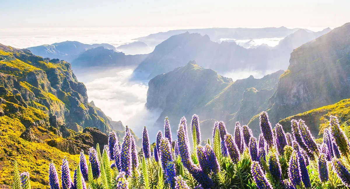Blick vom Berg Pico do Arieiro auf Madeira mit felsigen Gipfeln und Wolken über der Berglandschaft.