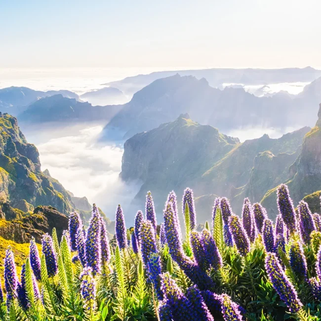 Blick vom Berg Pico do Arieiro auf Madeira mit felsigen Gipfeln und Wolken über der Berglandschaft.