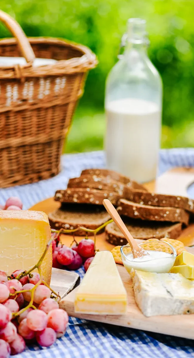 Ein Picknick in den Niederlanden mit Käse, Brot und Trauben auf einer Decke.