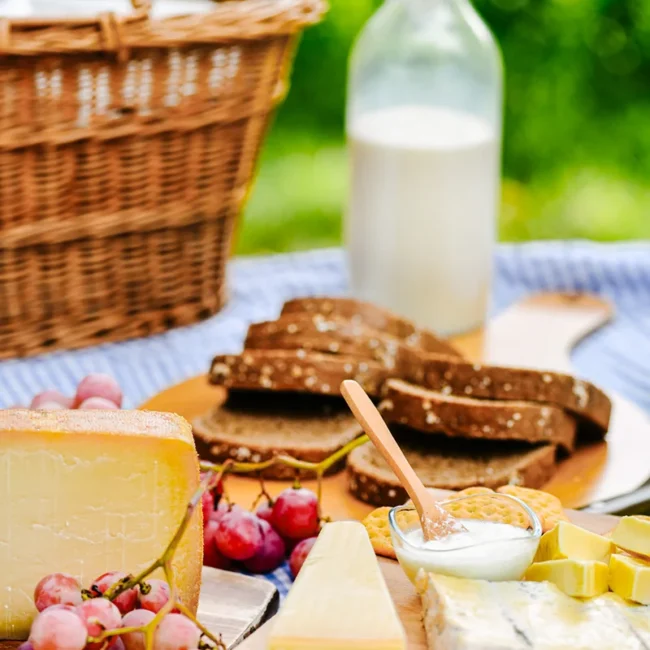 Ein Picknick in den Niederlanden mit Käse, Brot und Trauben auf einer Decke.