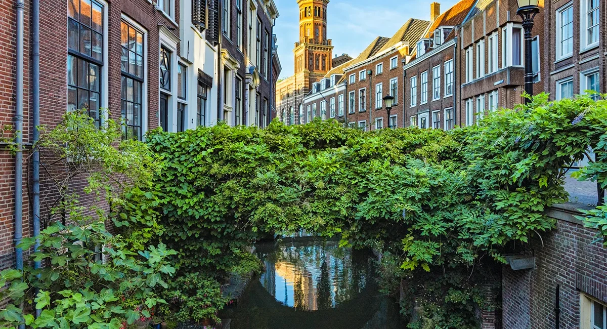 Ein Kanal in Utrecht mit historischen Häusern am Ufer. Im Hintergrund ragt der Kirchturm der Domkirche über die Altstadt.