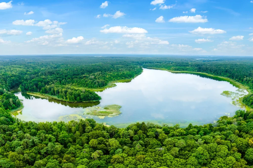 Panoramablick über die Masurische Seenplatte in Polen mit zahlreichen Seen, die von Wäldern und grüner Landschaft umgeben sind.