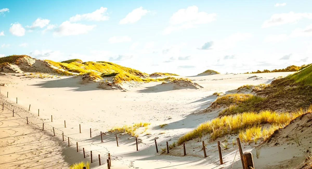 Die Wanderdünen im Slowinski-Nationalpark in Nordpolen erstrecken sich als weite Sandlandschaft nahe der Ostseeküste.