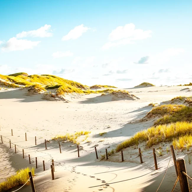 Die Wanderdünen im Slowinski-Nationalpark in Nordpolen erstrecken sich als weite Sandlandschaft nahe der Ostseeküste.
