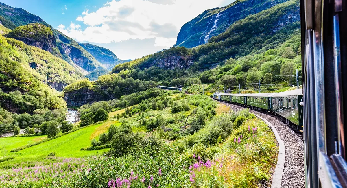 Blick aus der Flåmbahn auf eine grüne, bergige Landschaft in Norwegen. Blumen wachsen im Vordergrund, während im Hintergrund ein Wasserfall die Felsen hinabstürzt.